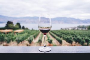 No more hangovers. Rebel Coast Winery launches world’s first cannabis-infused, alcohol-removed wine