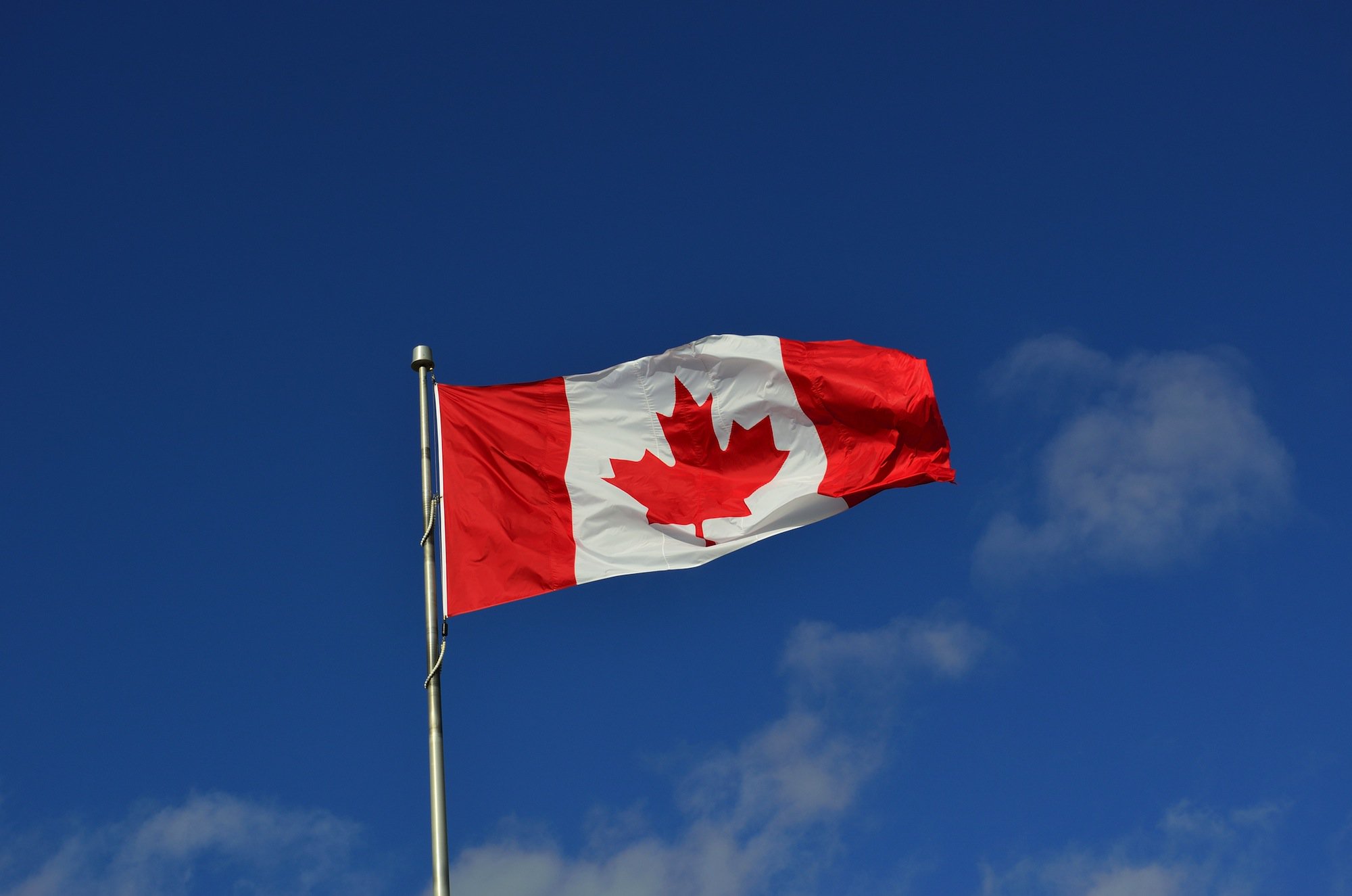 canadian flag 1229484