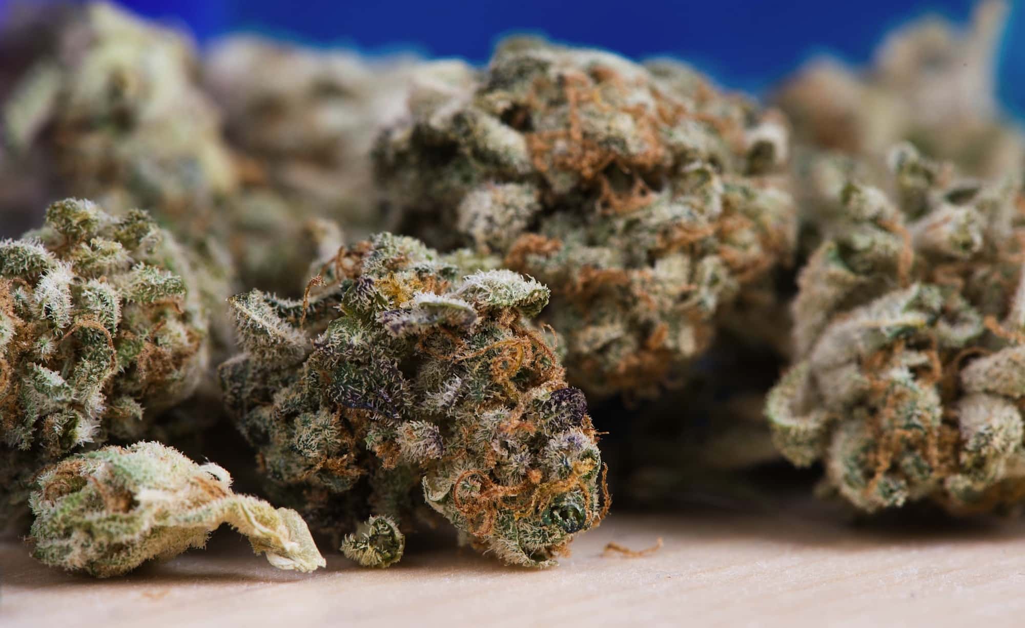 New Study Finds Cannabis Strain Labeling Is Frequently Inaccurate