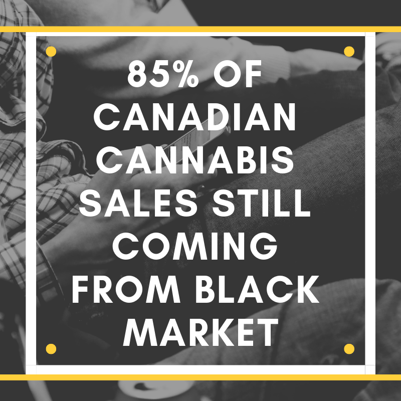 85% of Canadian Cannabis Sales Still Coming from Black Market