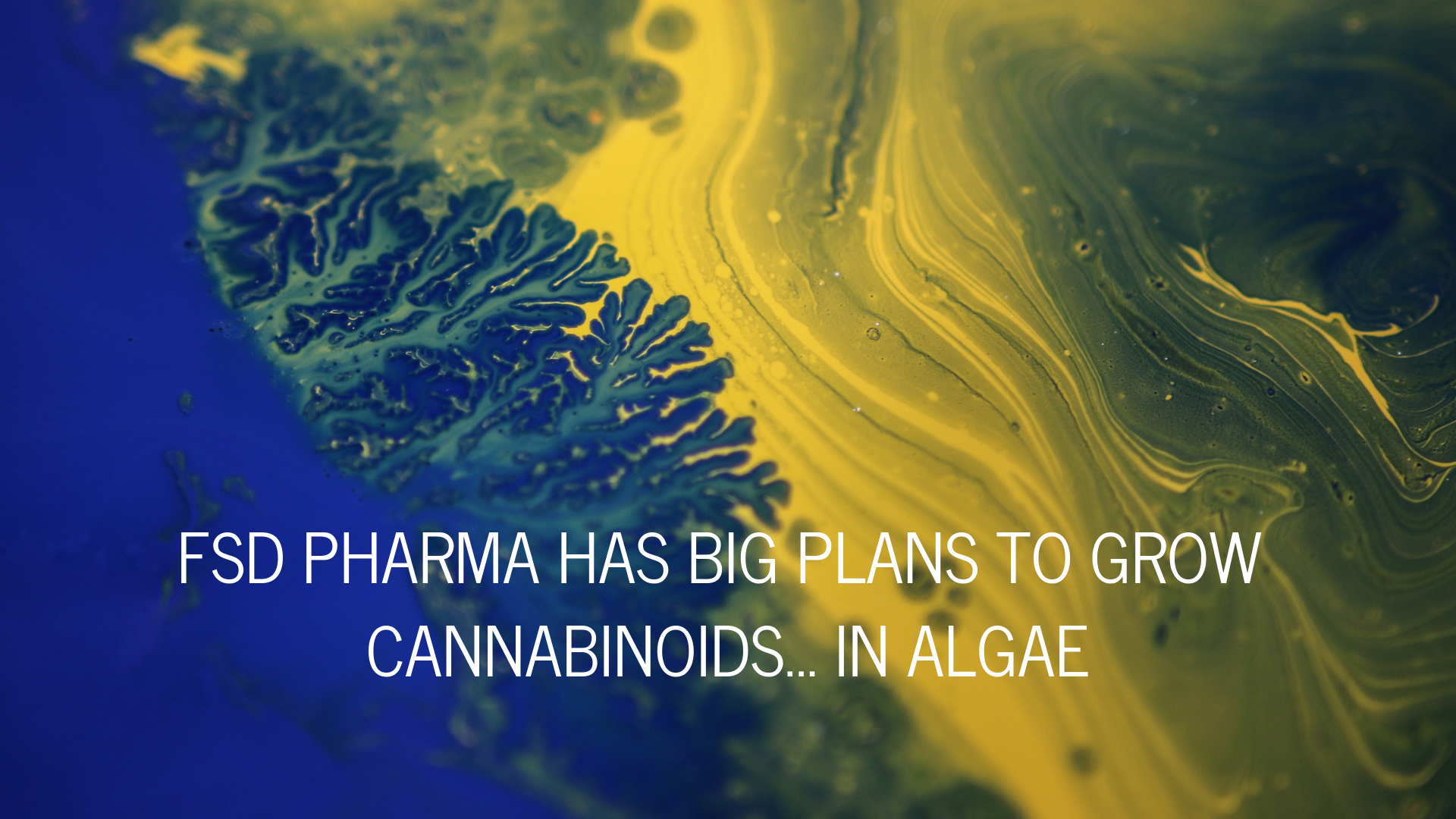 FSD Pharma has Big Plans to Grow Cannabinoids… in Algae