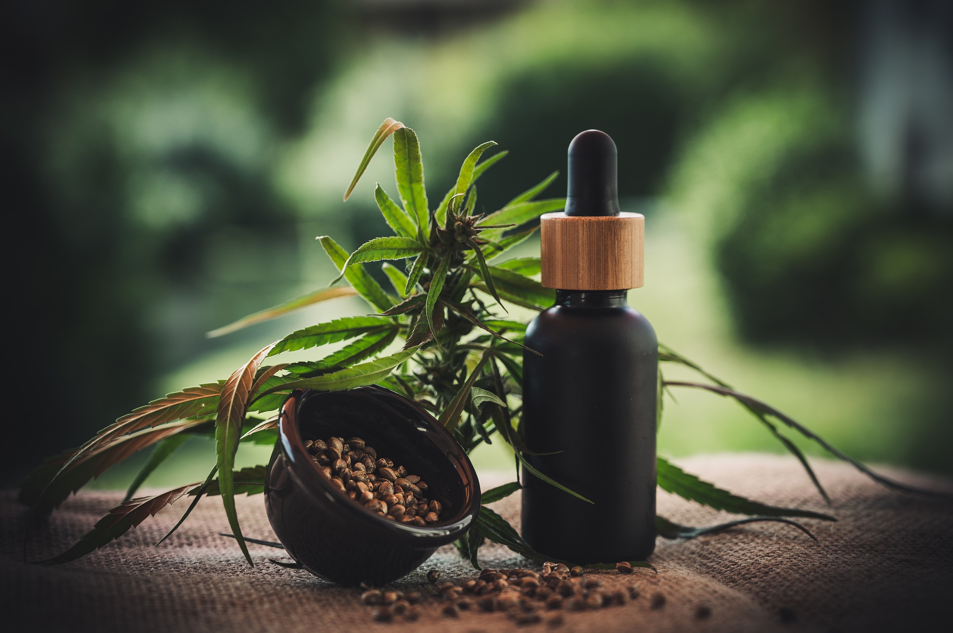 CBD Underpins Medical Cannabis’ Vast Expansion