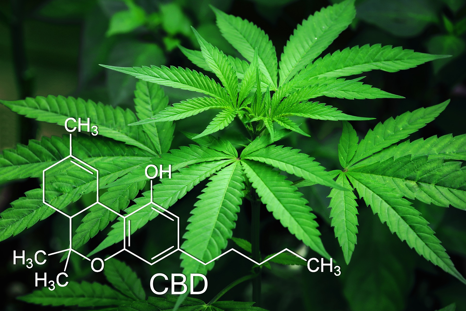GW Pharmaceuticals: High Expectations for this Hemp Stock