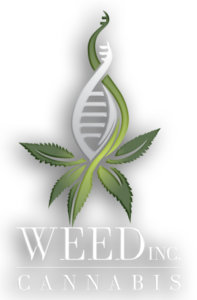 VIDEO: WEED Inc - Buy Now?