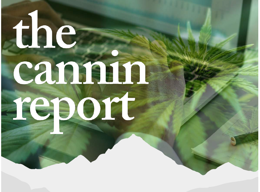 Cannin Report Cover Graphic