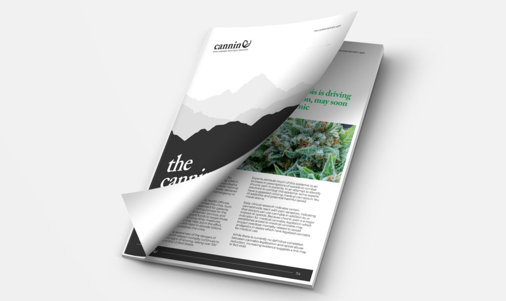 Which Marijuana Stocks Should You Buy in 2020? Get Your Copy of The Cannin Report