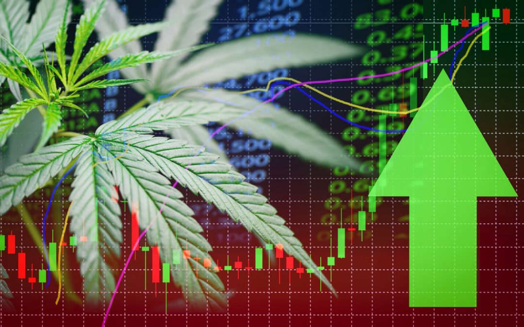 cannabis with stock chart