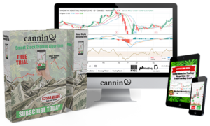 Cannin Investment Group: Your Hemp Stocks Resource