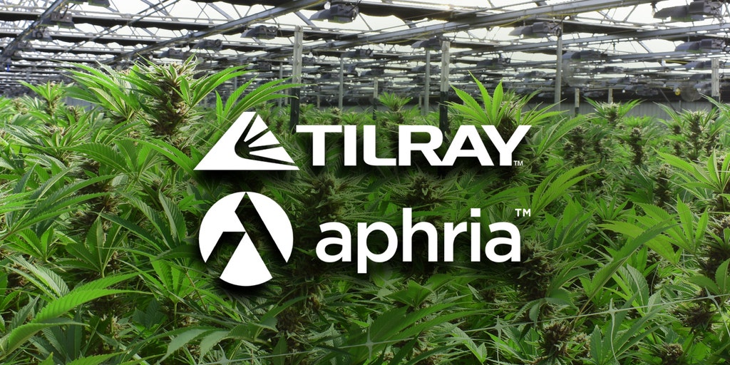 Is Tilray Stock a Good Buy After its 44% Fall?
