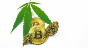Cannabis Crypto